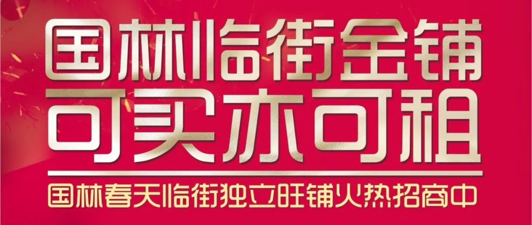 国林春天临街独立旺铺火热招商中