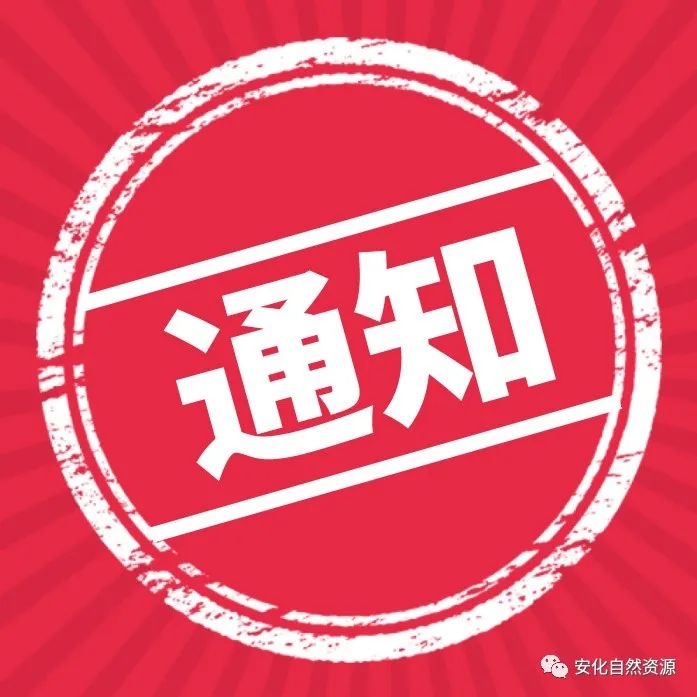 多名公务员因微信办公违规被处理，教训惨痛